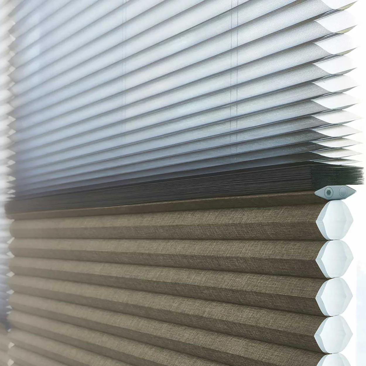 Taşoluk showroom jaluzi
